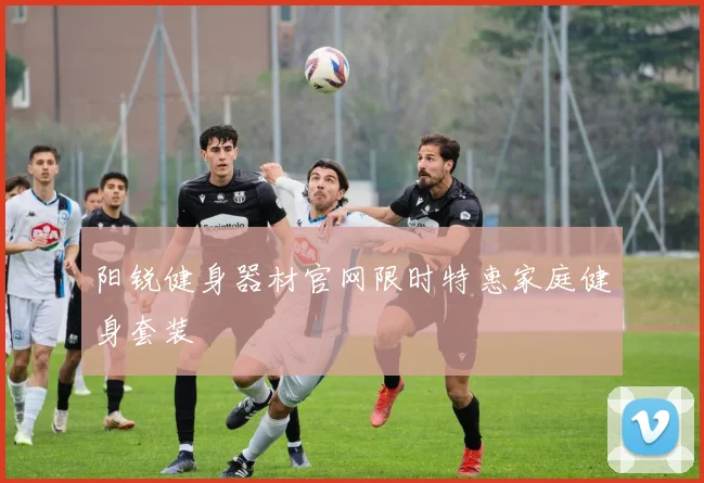 阳锐健身器材官网限时特惠家庭健身套装